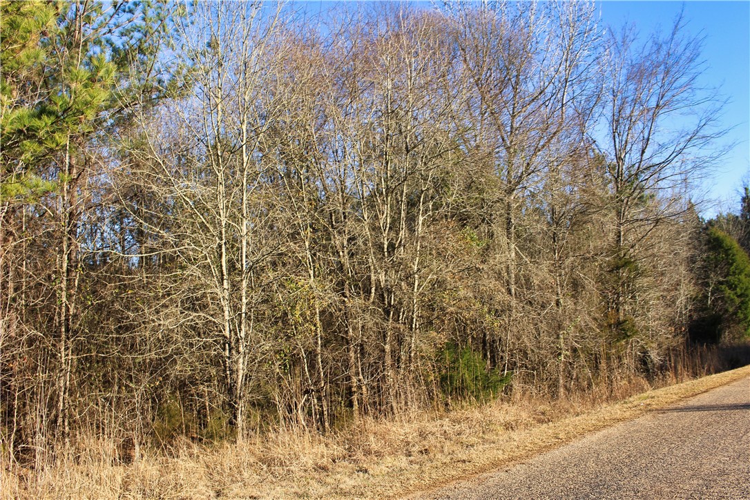 0 Rushville Road Bradley, SC 29819 - Photo 6 of 28