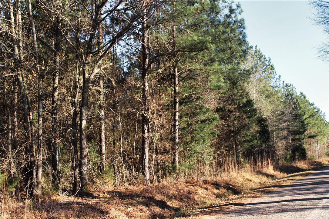 0 Rushville Road Bradley, SC 29819 - Photo 7 of 28