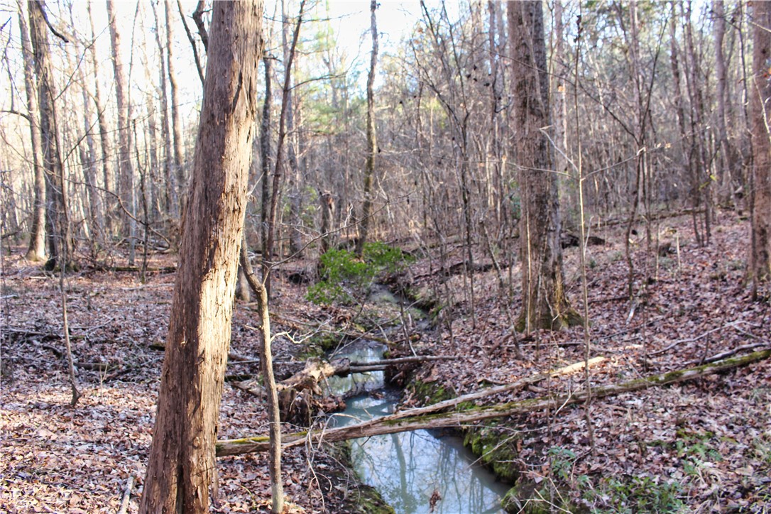 0 Rushville Road Bradley, SC 29819 - Photo 8 of 28