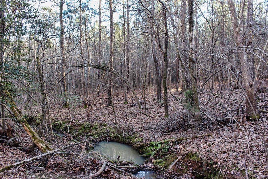 0 Rushville Road Bradley, SC 29819 - Photo 10 of 28