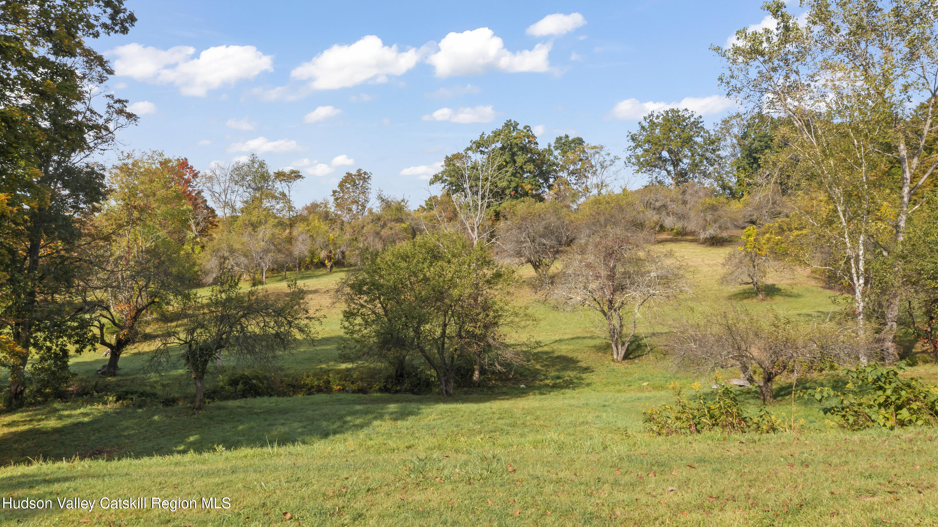 Two Two Town Road Craryville, NY 12521 - Photo 24 of 27 25 lawns DJI_0466