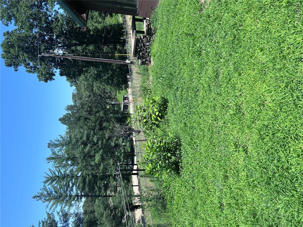 183 Graham Road Steelville, MO 65565 - Photo 20 of 82