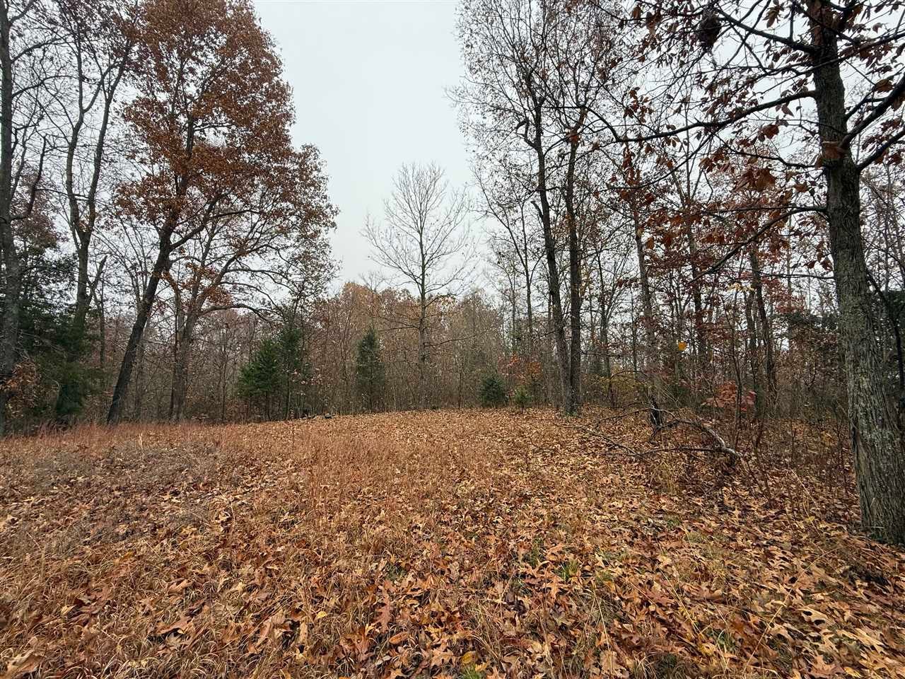 2379 Coal Road Lewisburg, KY 42256 - Photo 24 of 27 Gallery Image 24