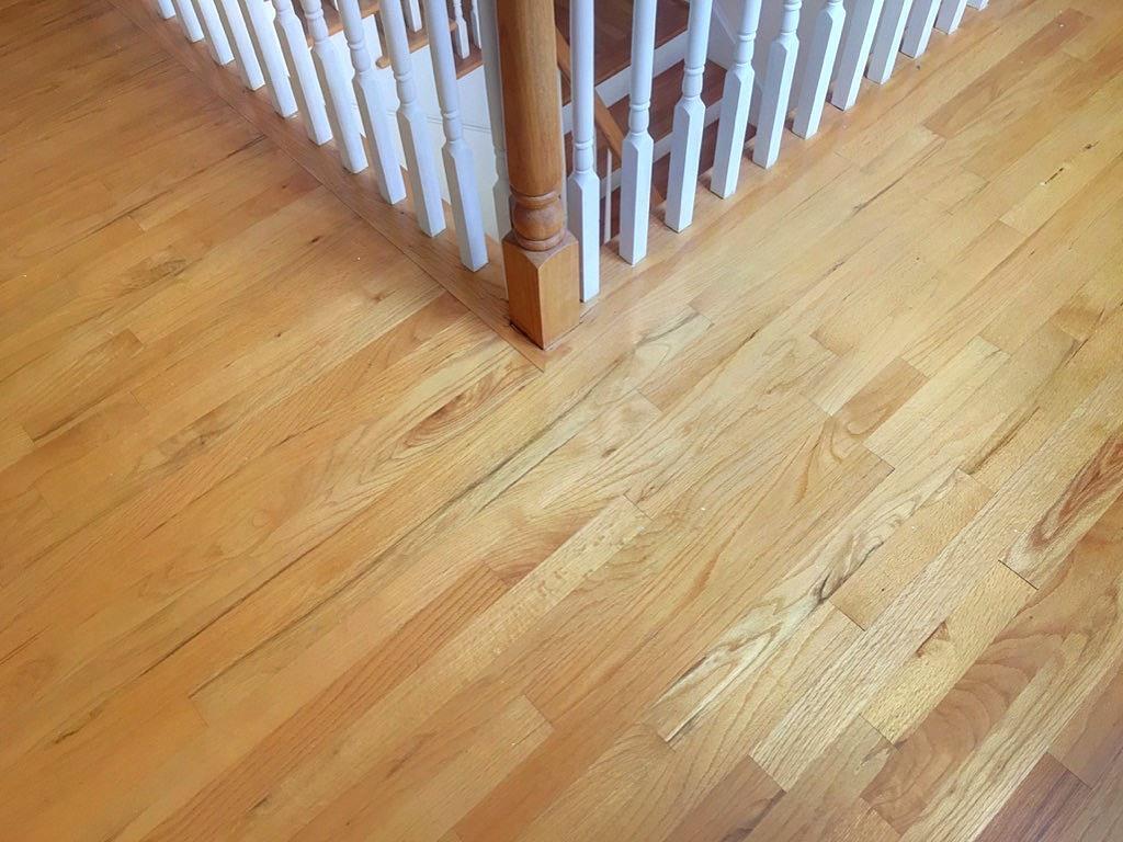 518 Woodspring Road Mount Pleasant, SC 29466 - Photo 37 of 52 Hardwood Floors Throughout