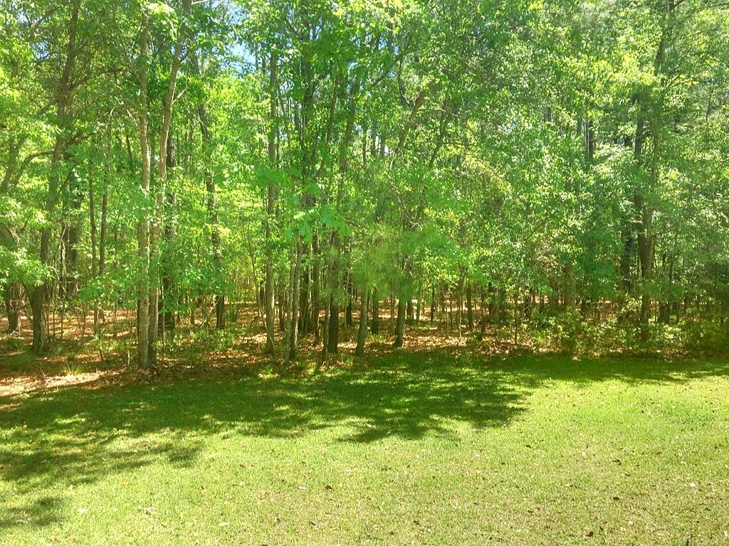 518 Woodspring Road Mount Pleasant, SC 29466 - Photo 40 of 52 Backyard