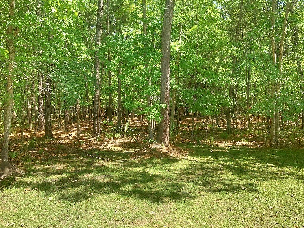 518 Woodspring Road Mount Pleasant, SC 29466 - Photo 41 of 52 Backyard