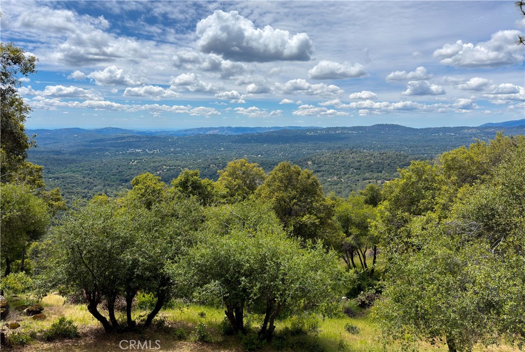 5603 Clouds Rest Mariposa, CA 95338 - Photo 47 of 75 Views from 4th Bedroom