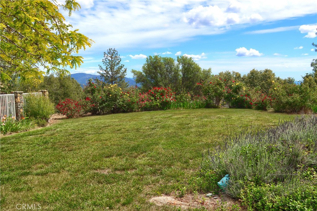 5603 Clouds Rest Mariposa, CA 95338 - Photo 54 of 75 Front Yard
