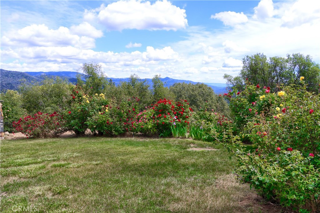 5603 Clouds Rest Mariposa, CA 95338 - Photo 55 of 75