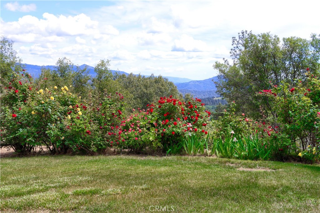 5603 Clouds Rest Mariposa, CA 95338 - Photo 56 of 75 Front Yard