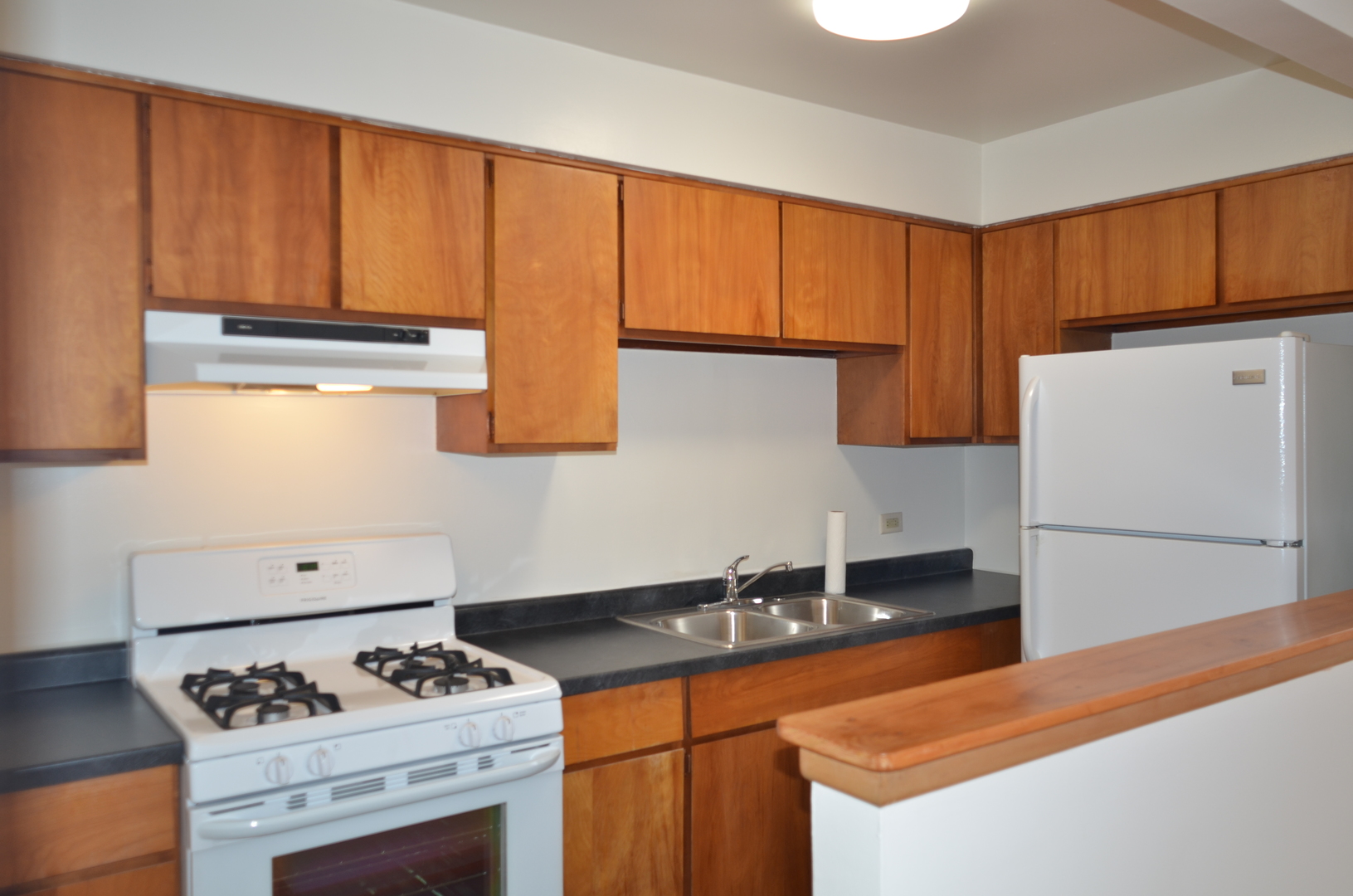 586 Rozanne Drive Addison, IL 60101 - Photo 8 of 13 Gallery Image 8