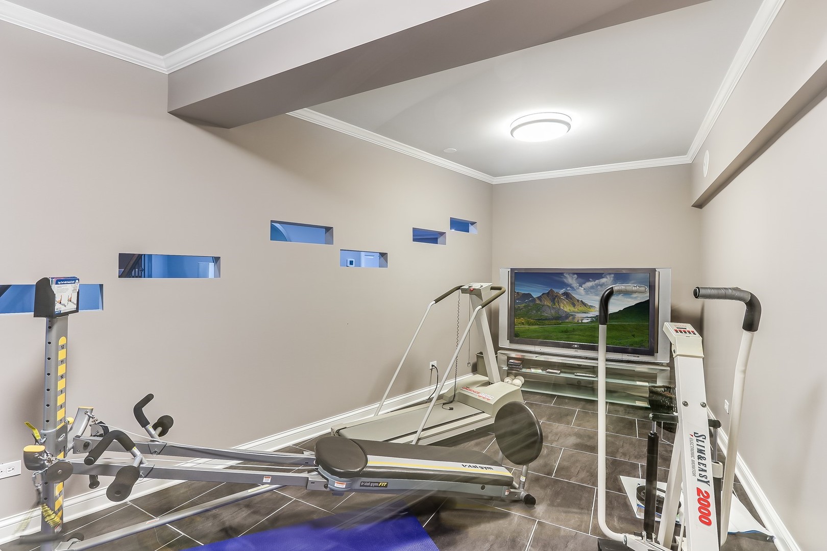 1839 Rizzi Lane Bartlett, IL 60103 - Photo 37 of 50 a room with gym equipment