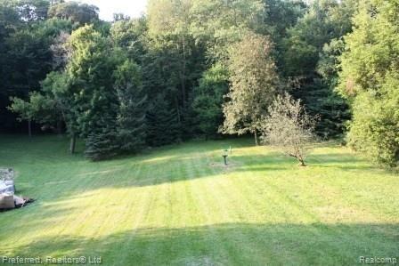 13485 Germany Road Fenton, MI 48430 - Photo 25 of 26 Property and Woods.jpg