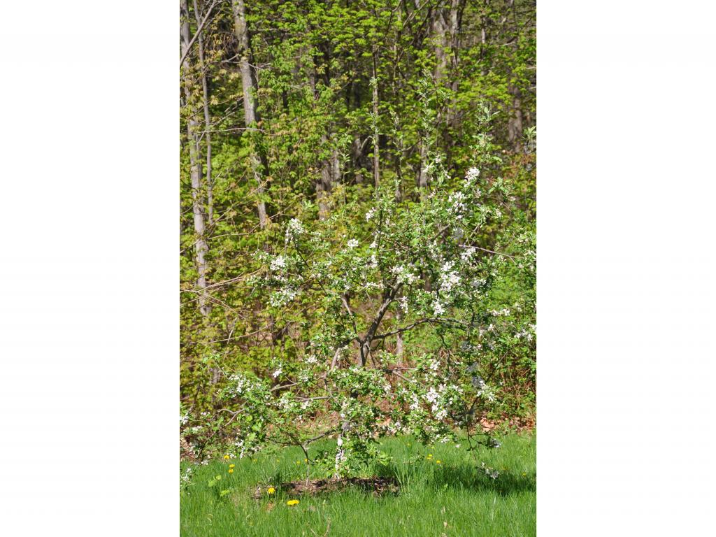 21 Greenwood Road Weare, NH 03281 - Photo 20 of 21