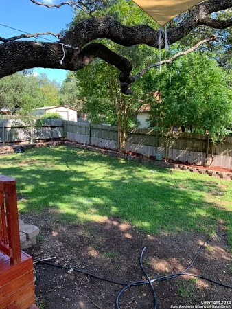a view of a backyard with a garden and plants