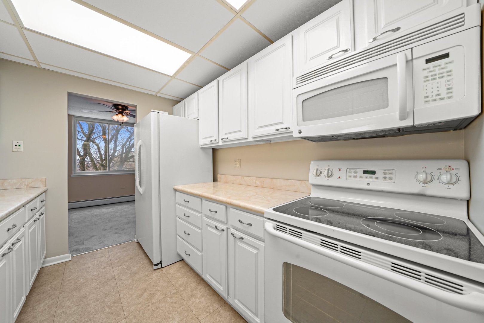 225 South Rohlwing Road, Unit 418 Palatine, IL 60074 - Photo 5 of 14