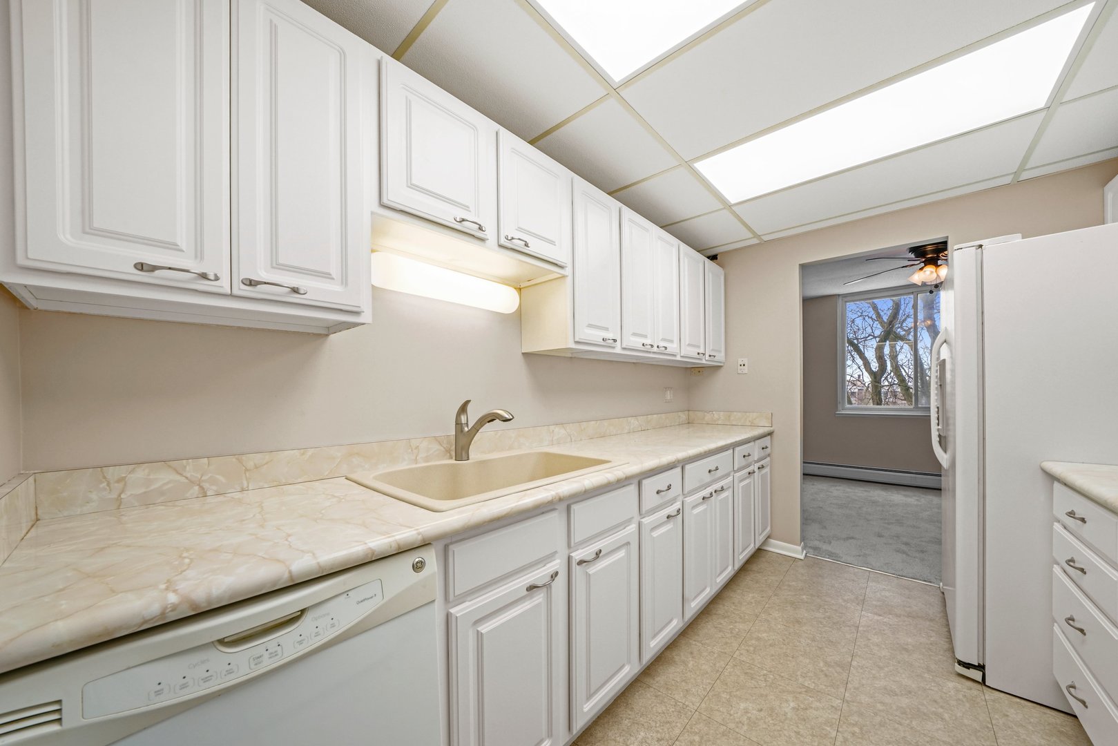 225 South Rohlwing Road, Unit 418 Palatine, IL 60074 - Photo 7 of 14