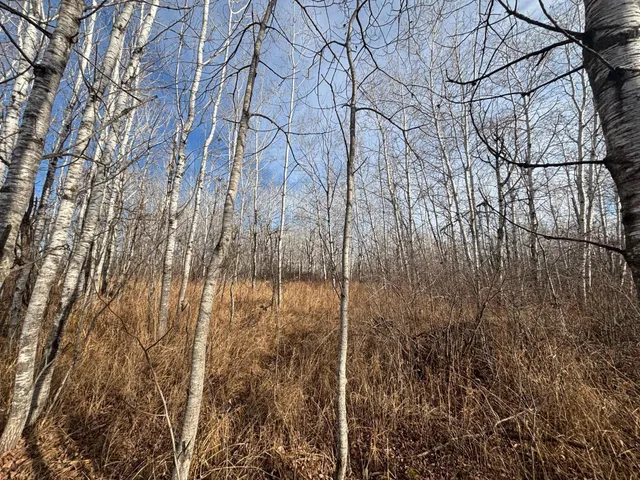 $162,900 | 0 County Highway 61, Pine City, MN 55063