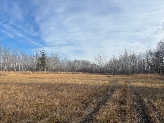 $162,900 | 0 County Highway 61, Pine City, MN 55063