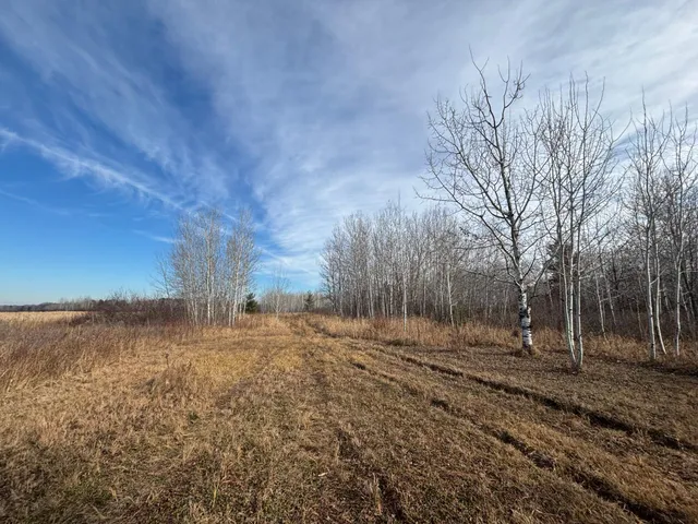 $162,900 | 0 County Highway 61, Pine City, MN 55063