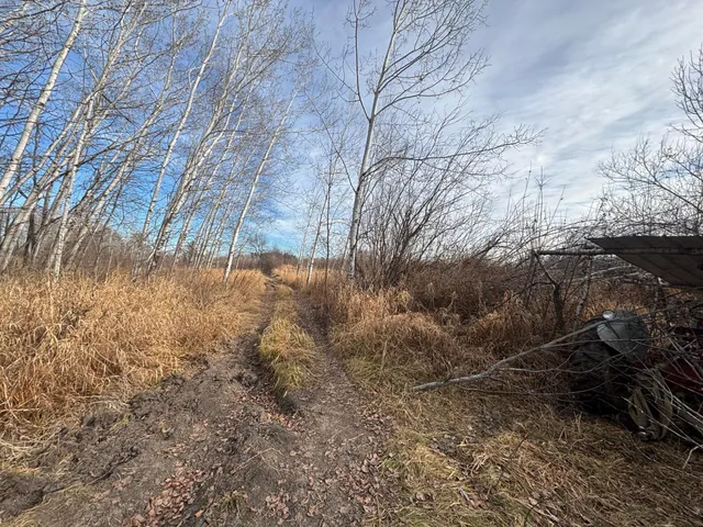 $162,900 | 0 County Highway 61, Pine City, MN 55063