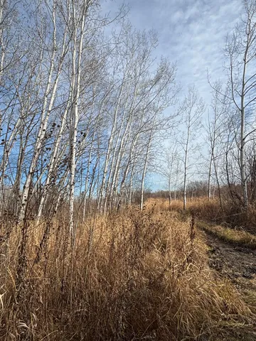 $162,900 | 0 County Highway 61, Pine City, MN 55063