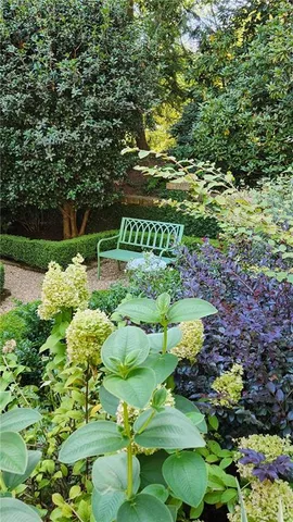 a view of a garden with plants and wooden fence