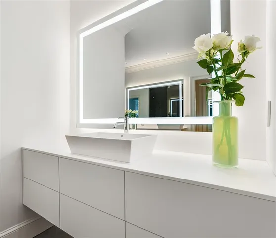 a view of a park with large trees