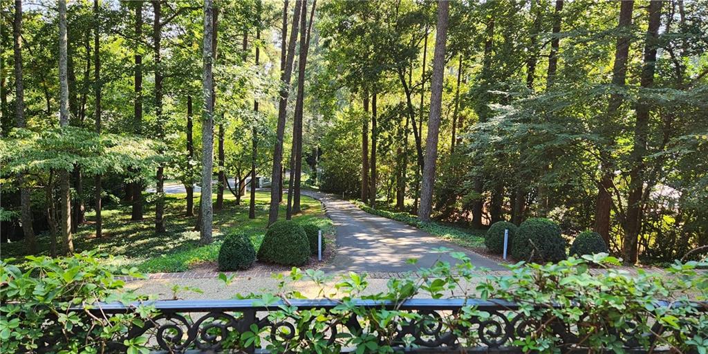 4224 East Conway Drive Northwest Atlanta, GA 30327 - Photo 64 of 72 a garden with lots of trees