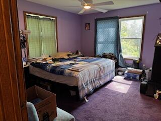 835 Turtle Lake Road Union City, MI 49094 - Photo 23 of 28 8A43BA49-D9E2-482D-ACDC-2BF81BA088F1