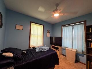 835 Turtle Lake Road Union City, MI 49094 - Photo 27 of 28 37729540-711E-498E-AC74-84BFCB0FC963