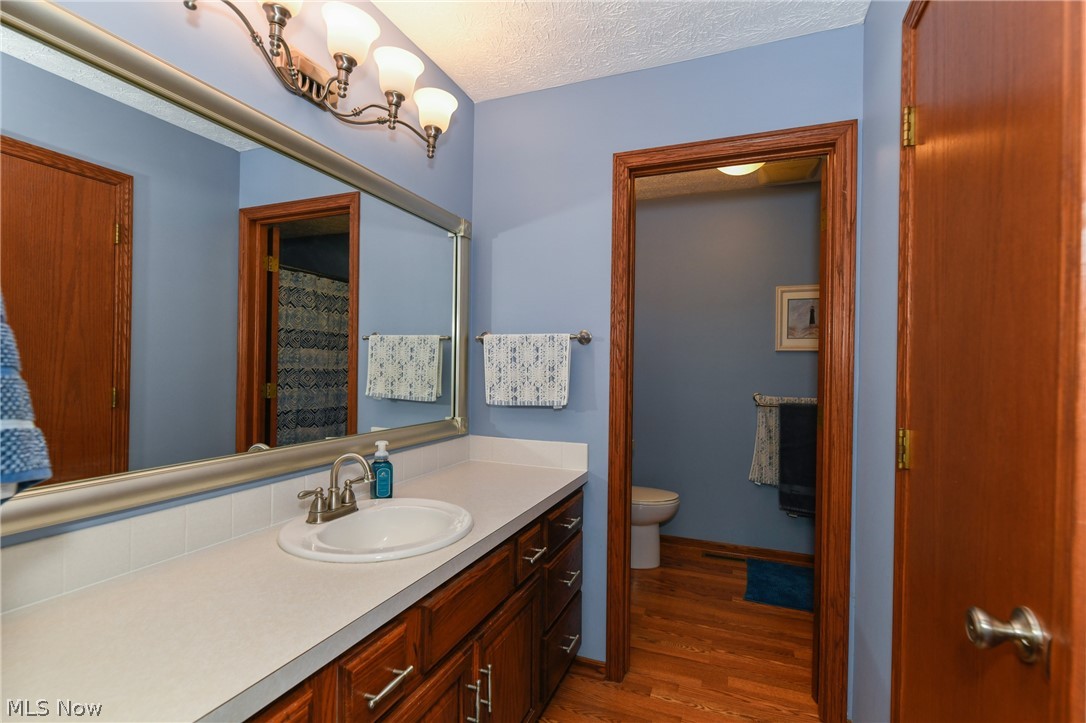7810 Kennard Road Lodi, OH 44254 - Photo 20 of 35 Master bathroom has 2 sinks, walk-in closet, separate toilet area and shower.
