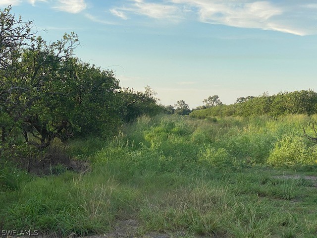 2 (sears Road LaBelle, FL 33935 - Photo 1 of 25 a view of a lush green space
