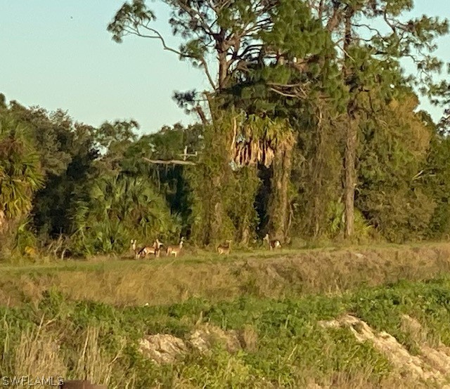 2 (sears Road LaBelle, FL 33935 - Photo 24 of 25 a view of a yard