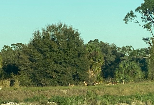 2 (sears Road LaBelle, FL 33935 - Photo 25 of 25 a view of a lush green space