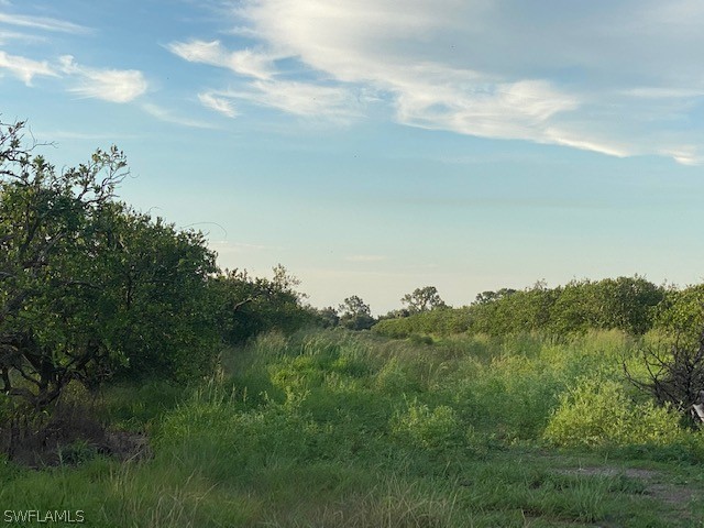 2 (sears Road LaBelle, FL 33935 - Photo 8 of 25 a view of a bunch of trees in a field