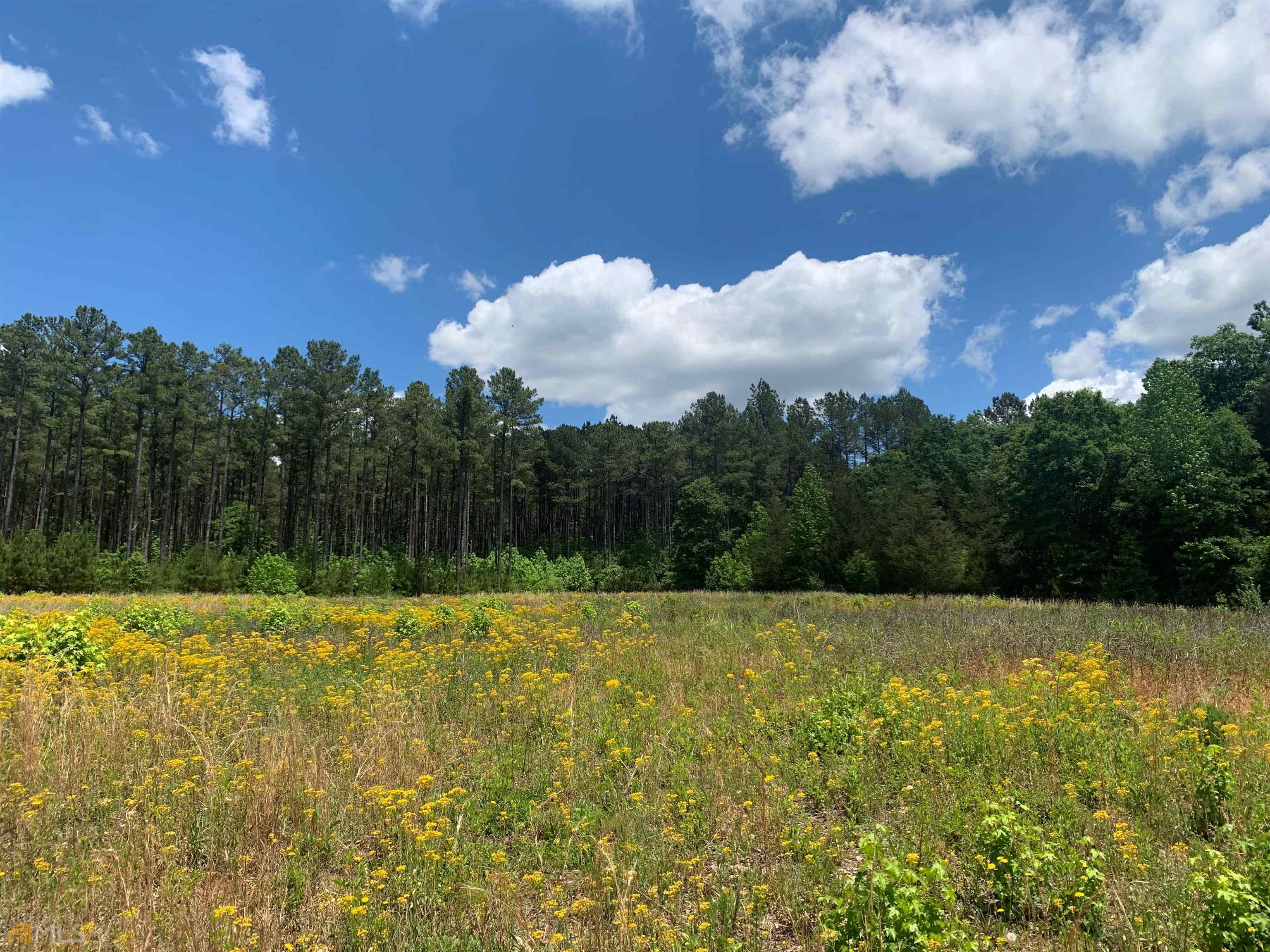 545 Belmont Road Athens, GA 30605 - Photo 1 of 1 a view of basketball court