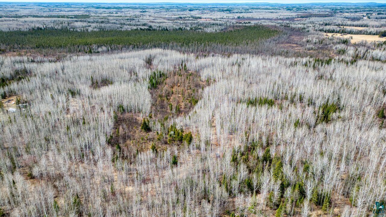5303 Markham Road Makinen, MN 55763 - Photo 28 of 36 Bird's eye view with a wooded view