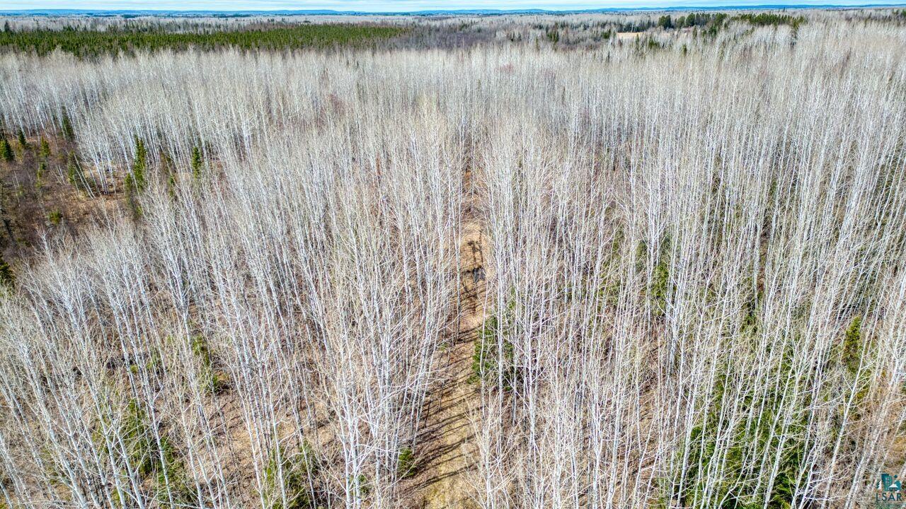 5303 Markham Road Makinen, MN 55763 - Photo 31 of 36 Birds eye view of property