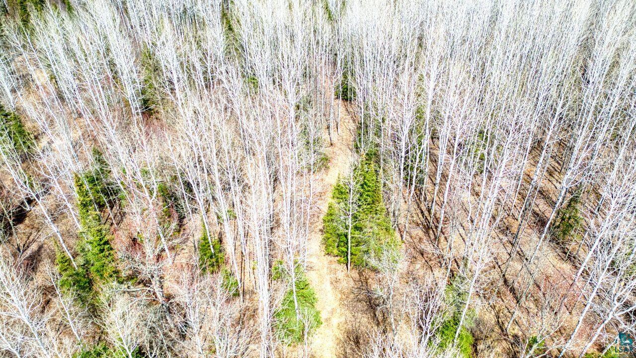 5303 Markham Road Makinen, MN 55763 - Photo 33 of 36 Aerial view
