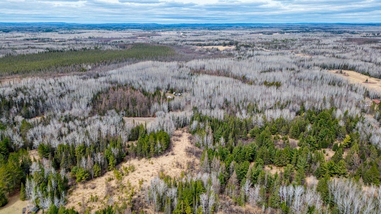 5303 Markham Road Makinen, MN 55763 - Photo 4 of 36 Drone / aerial view with a wooded view