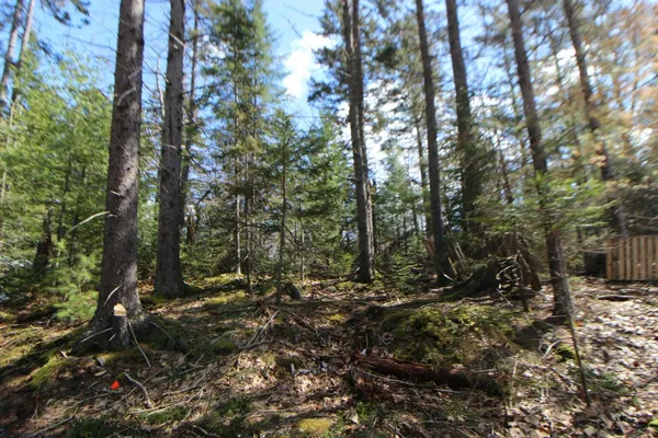 $60,000 | 127 West Side Drive, Verona Island, ME 04416