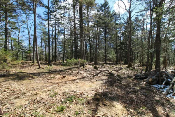 $60,000 | 127 West Side Drive, Verona Island, ME 04416