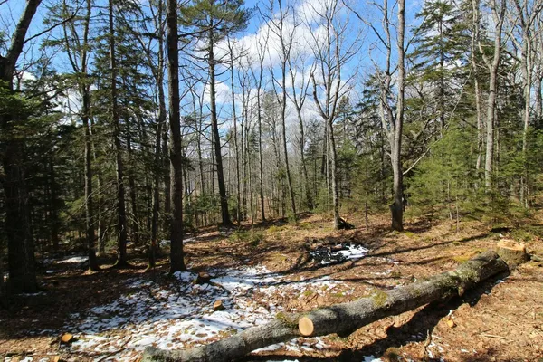 $60,000 | 127 West Side Drive, Verona Island, ME 04416