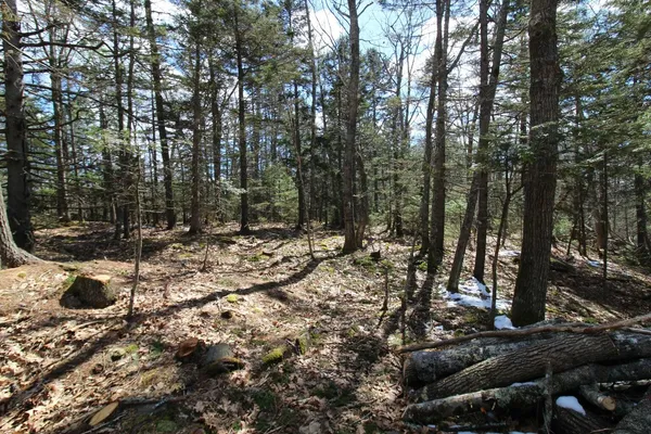 $60,000 | 127 West Side Drive, Verona Island, ME 04416