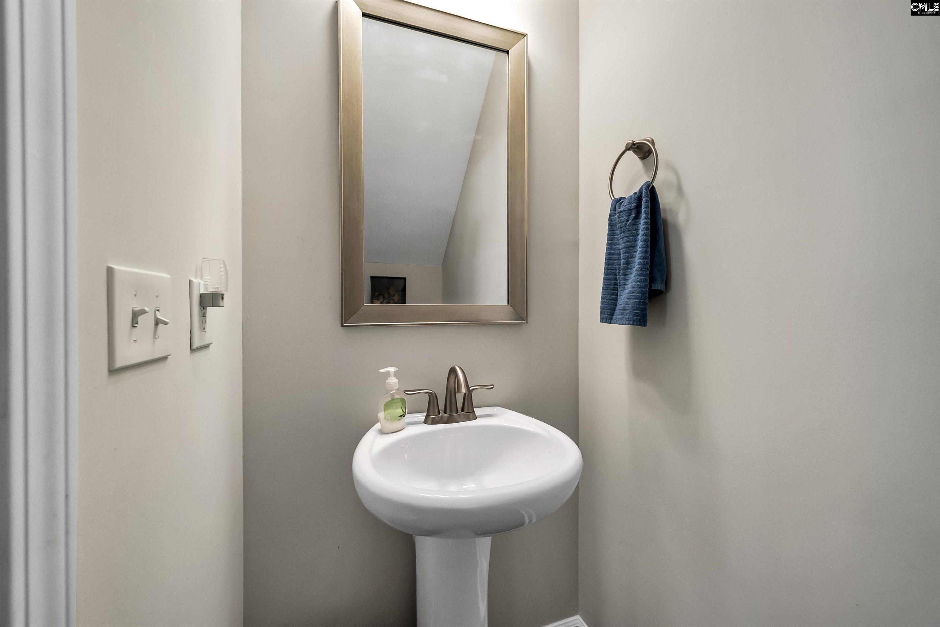 515 Malachite Lane Chapin, SC 29036 - Photo 22 of 63 a bathroom with a sink and a mirror