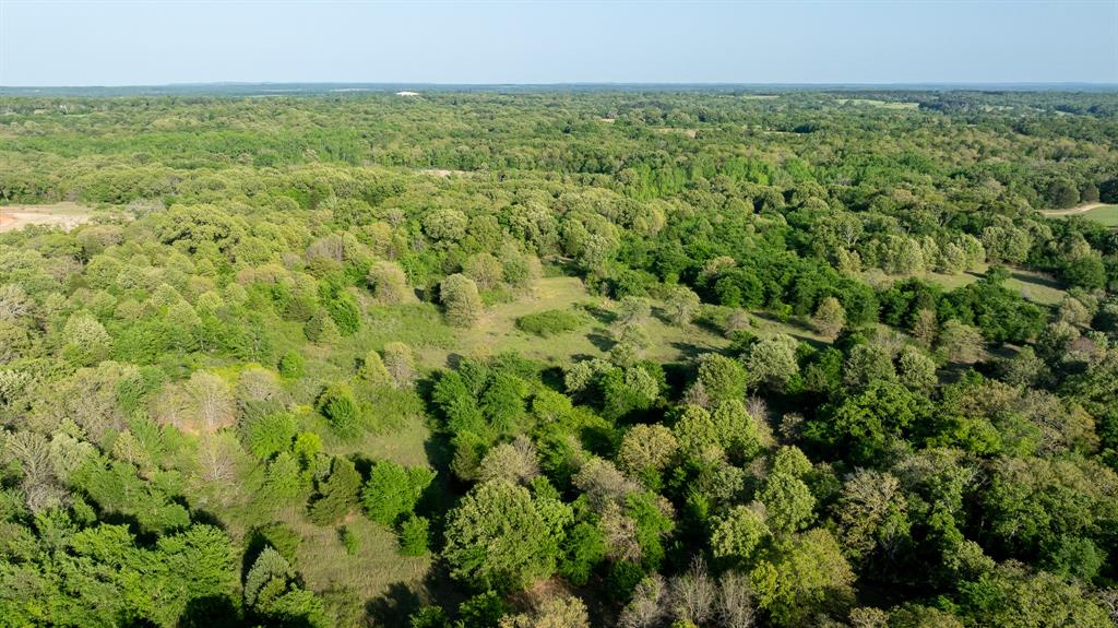 951 Southeast Se Loop Athens, TX 75751 - Photo 11 of 34 a view of a garden