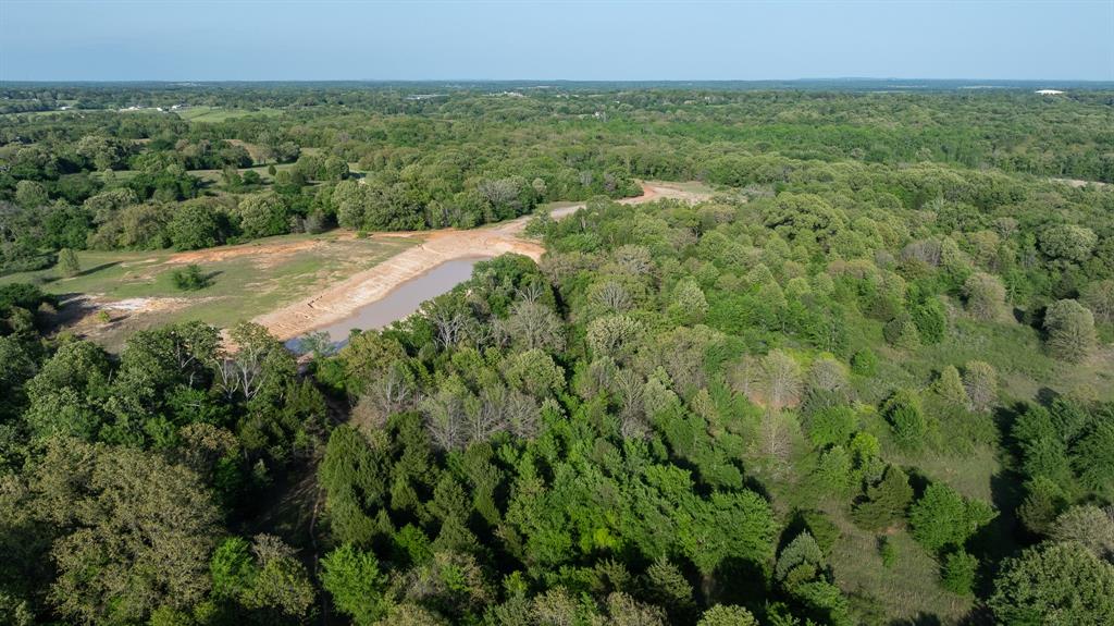 951 Southeast Se Loop Athens, TX 75751 - Photo 12 of 34 a view of a green field with lots of bushes