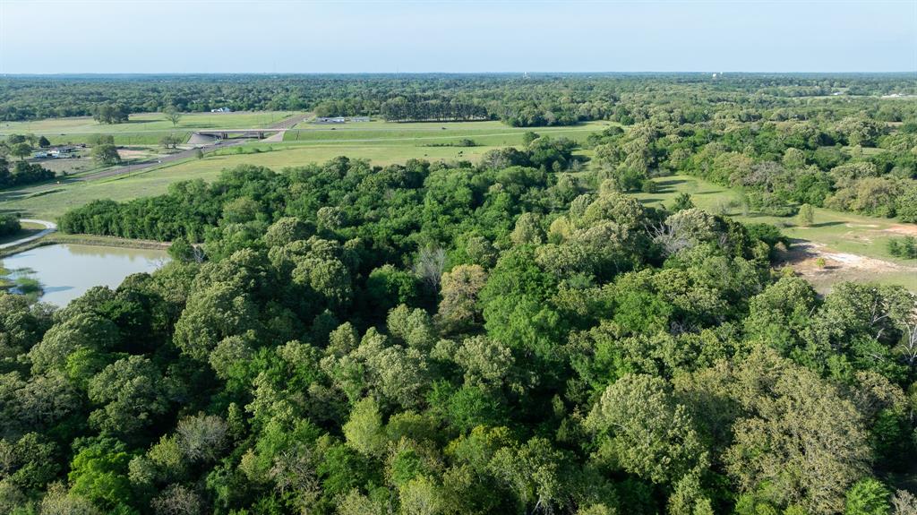 951 Southeast Se Loop Athens, TX 75751 - Photo 13 of 34 an aerial view of forest