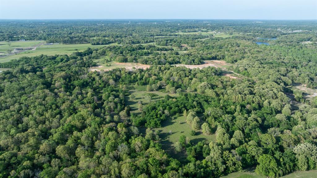 951 Southeast Se Loop Athens, TX 75751 - Photo 14 of 34 a view of a lush green forest with trees and some houses